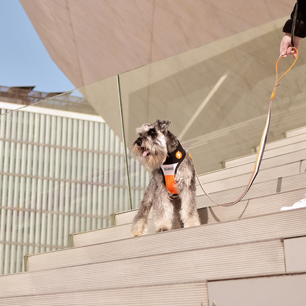 DASHI pavadėlis, 1 vnt.