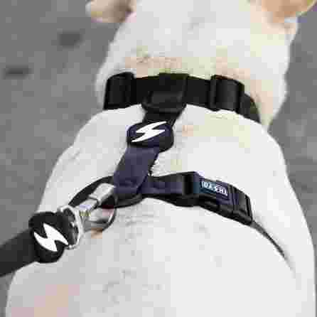 DASHI COLORFLEX BLACK, S petnešos, 1 vnt.