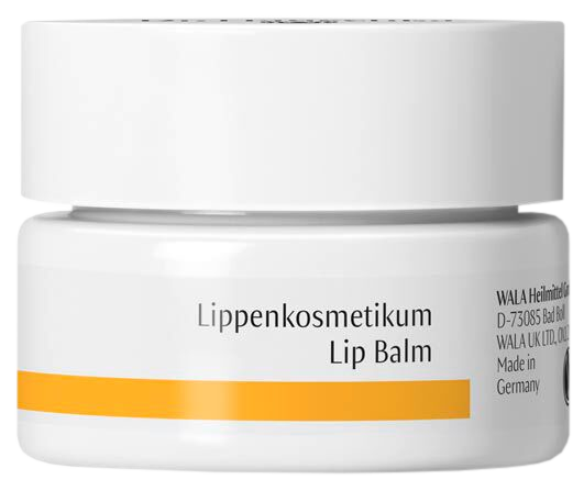 DR. HAUSCHKA Lip Balm lūpų balzamas, 4.5 ml