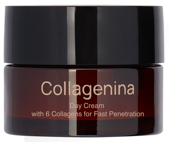 COLLAGENINA With 6 Collagens, Grade 2, Day veido kremas, 50 ml