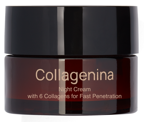 COLLAGENINA With 6 Collagens, Grade 3, Night veido kremas, 50 ml