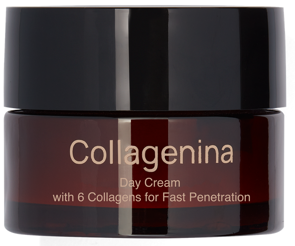 COLLAGENINA With 6 Collagens, Grade 3, Day veido kremas, 50 ml