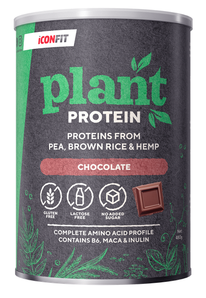 ICONFIT Plant Protein - Chocolate milteliai, 480 g