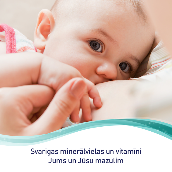 ELEVIT  Breastfeeding kapsulės, 30 vnt.