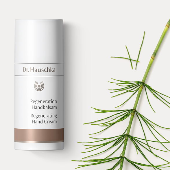 DR. HAUSCHKA Regenerating rankų kremas, 50 ml