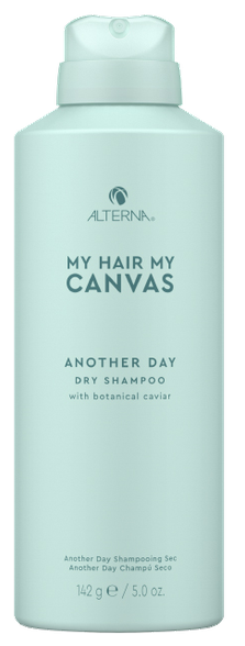 ALTERNA My Hair My Canvas Another Day sausas šampūnas, 142 g