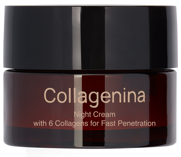 COLLAGENINA With 6 Collagens, Grade 2, Night veido kremas, 50 ml