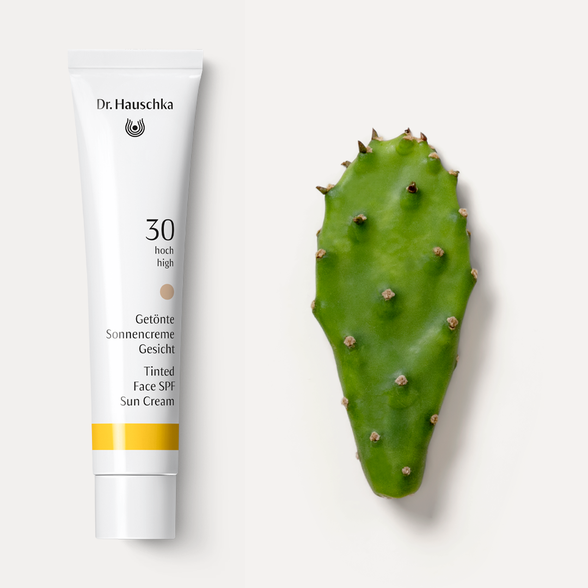 DR. HAUSCHKA Tinted Face Sun SPF 30 apsauginis kremas nuo saulės, 40 ml