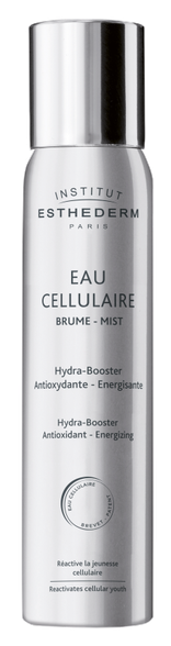 INSTITUT ESTHEDERM Brume-Mist purškiklis, 100 ml